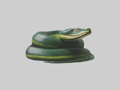 Sleeping Snake Model Low-poly 3D model