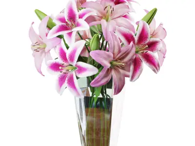 Flower Set 12 - Pink Lilies Bouquet 3D model