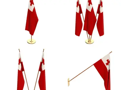 Tonga Flag Pack 3D model
