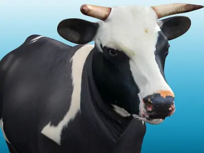 Cow Rig Low-poly 3D model