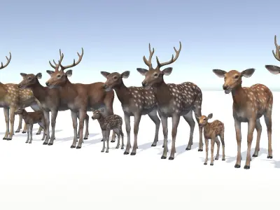 DEER FAMILY Low-poly 3D model