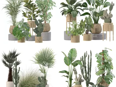 20 Photorealistic Flowers for Interiors - set 206 210 211 216 3D Model Collection