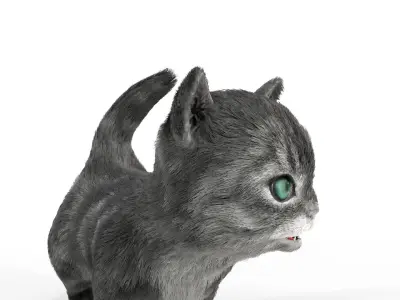 Fur Cute Gray Cat Kitten Animated Low-poly 3D model