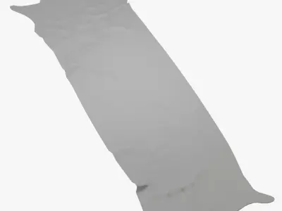 Super Long Stretched Cowhide Rug 3D model