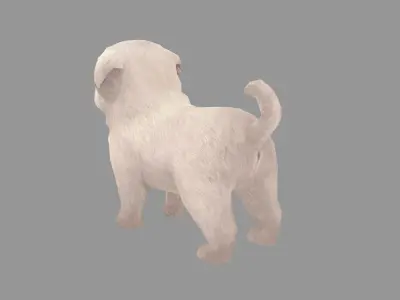 Cartoon pet puppy - White Paco - baby dog Low-poly 3D model
