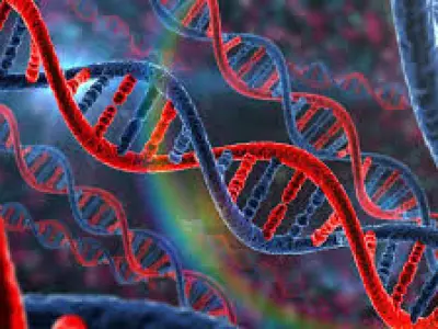 DNA Sci-fi Realistic Animation 3D model