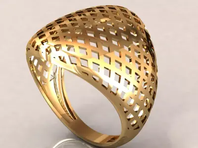 Rhing  Free 3D print model