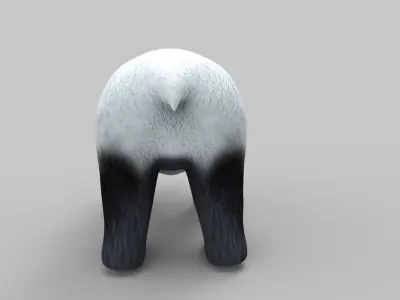 White Bear Rigged and animated 3D Model Low-poly 3D model