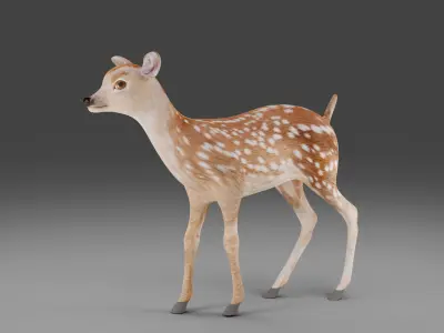  Fawn Deer Rigged and Animated  Low-poly 3D model