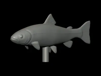 Rainbow Trout underwater statue detailed texture for 3D 3D print model