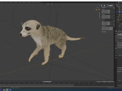 meerkat 3D model