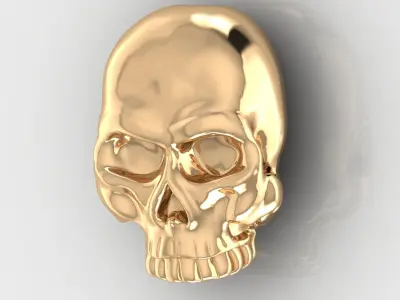 Skull 10 3D print model