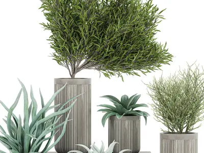 Decorative plants in a concrete flowerpots 802 3D model