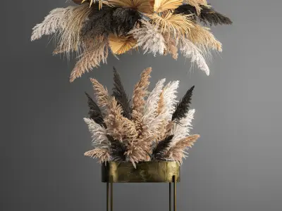 Hanging decor of their dried pampas grass 188 3D model