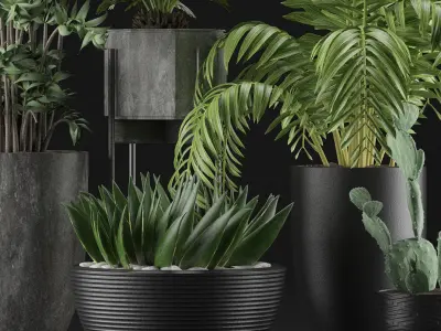 Plants Collection 19 3D model