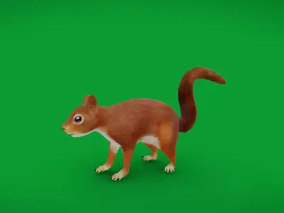Eurasian Red Squirrel Low-poly 3D model
