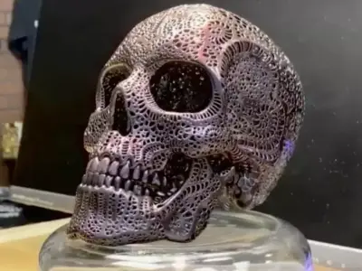 Filigree Anatomical Skull - Pre-supported STL 3D print model