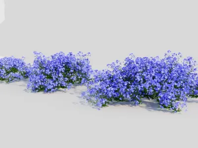Lobelia erinus a 3D model