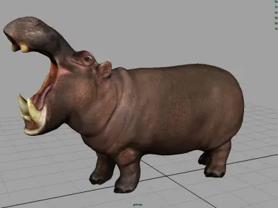 African Hippopotamus Low-poly 3D model
