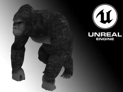Gorilla - King Kong - 3D Model Low-poly 3D model
