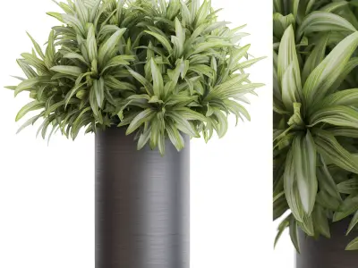 Plants collection vol 51