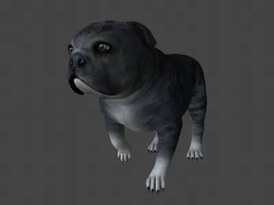 FEBU-003 Walking Animation 3D model