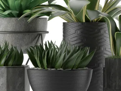 Plants Collection 15 3D model