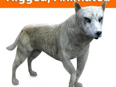 3d White Wolf rigged and animated  Low-poly 3D model