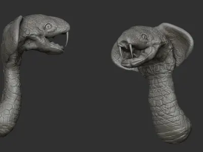 COBRA HEAD 3D model