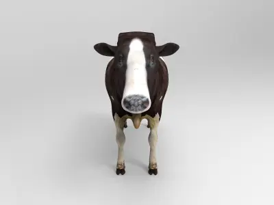 Cow Rigged cattle game ready low poly Low-poly 3D model