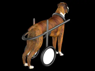 Dog Wheelchair 3D model