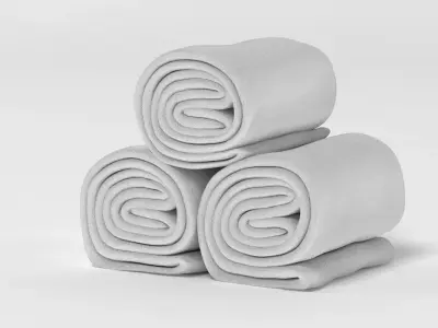 Towel Rolls 3D model