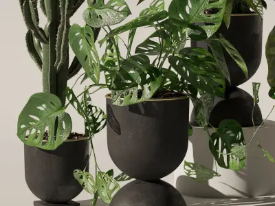 Plants collection 140 3D model