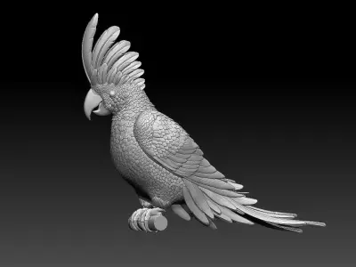 parrot  cacadu 3D print model