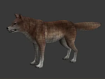 Brown Wolf Low-poly 3D model