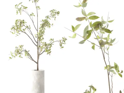 Plants Bouquet 04 3D model