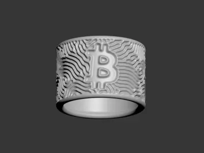 Bitcoin Napkin Ring 3D print model