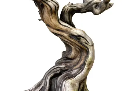 Ornamental Rustic weathered twisted Dry tree gnarled branches 3D model