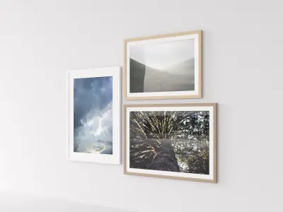 Picture Frames Nature II 3D model