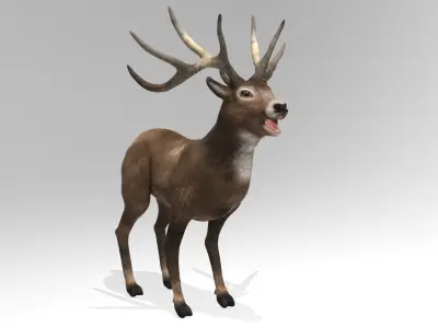 This model Deer 3D model