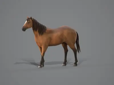 Horse Brown 3D model