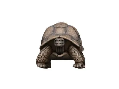 Tortoise Low-poly 3D model