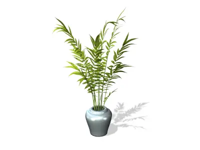 Areca Palm Plant Low-poly 3D model