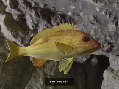 Fishes tuna fish in ocean 3D Model Collection