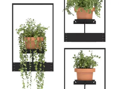 Boho Hanging Plants 04 3D model