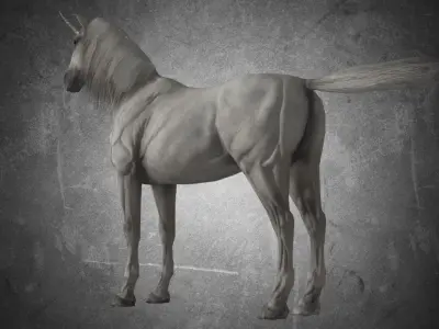 Horse - Unicorn No Gear 3D model
