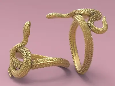 The Snake Ring 3D print model