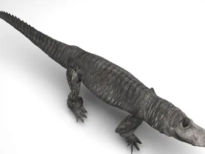 Crocodile 3D model