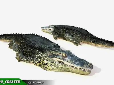 LowPoly Crocodile Beast Rigged 3d model Low-poly 3D model