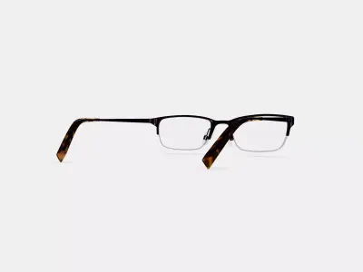 Caldwell Eyeglasses in Carbon 3D model